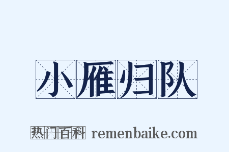 小雁归队是什么意思的图片